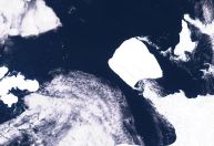 Maior iceberg do mundo se solta e pode ameaçar vida selvagem da Antártida