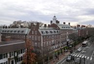 Harvard rejeita mudanças exigidas pelo governo Trump e arrisca bilhões