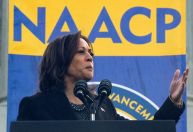 Veja quem são os possíveis candidatos a vice-presidente na chapa de Kamala Harris
