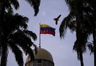 Comunidade internacional está de “mãos atadas” em conflito na Venezuela, diz professora