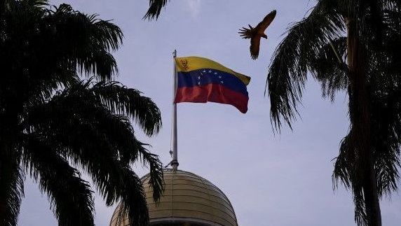 Uma arara voa perto de bandeira venezuelana no Palácio Federal