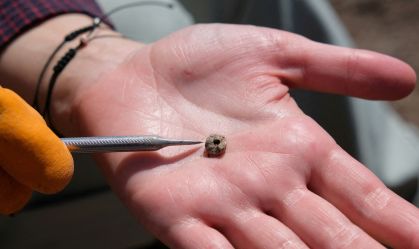Humanos antigos usavam piercings como nós, dizem arqueólogos na Turquia