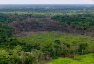 Estudo mostra impacto oculto dos humanos na natureza ao redor do mundo