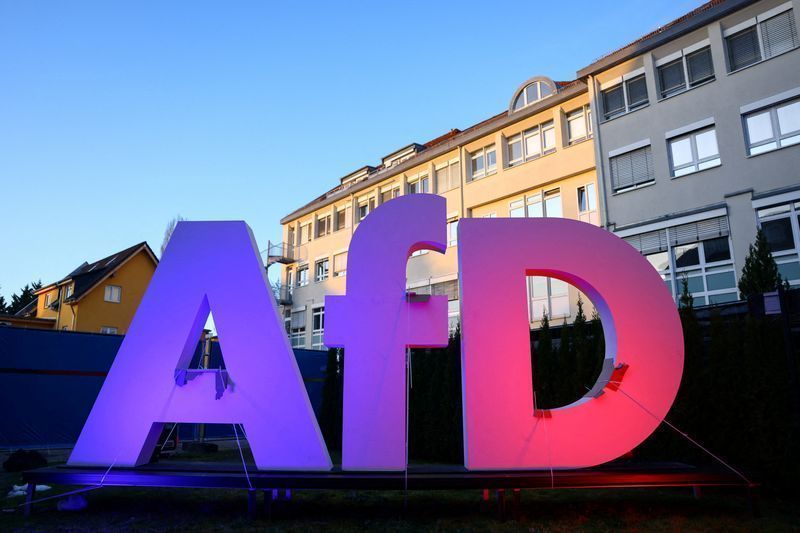 Deportações, alunos PCDs separados: como a AfD quer governar na Alemanha