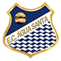 Logo do time