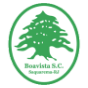 Logo do time