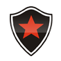 Logo do time
