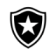 Atlético Mineiro