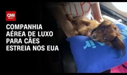 Companhia aérea de luxo para cães estreia nos EUA | AGORA CNN