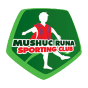 Logo do time