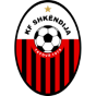 Logo do time